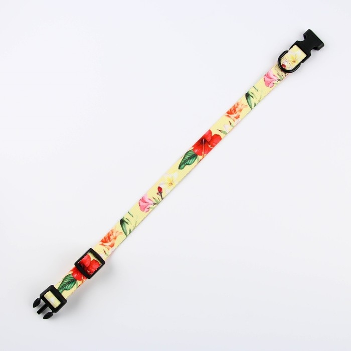 Набор &laquo;Цветы&raquo;, застёжка - фастекс, поводок 2 м и ошейник 28-46 см