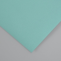 Лист для творчества иск.кожа "Рисунок Личи" мятный лист 33х20 см толщина 0,7 мм