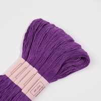 Набор ниток мулине №3348, 8 &plusmn; 1 м, 6 шт, цвет сливовый