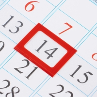 Календарь квартальный моно "Символ года - 1" 2025 год, 29 х 47 см Календарь квартальный моно "Символ года - 1" 2025 год, 29 х 47 см