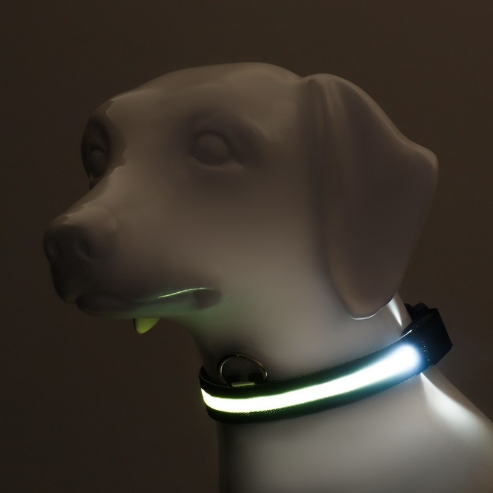 Ошейник с подсветкой размер М, ОШ 40-48 х 2,5 см, 3 режима свечения чёрный