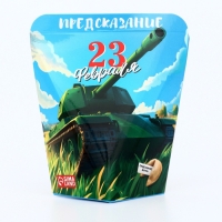 Печенье с предсказанием "С 23 февраля", 6 г