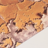 Фотофон двусторонний картон плотность 350 гр "Штукатурка" 50х50 см