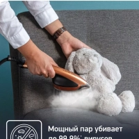 Паровая гладильная система IXEO Power QT2020E0 с утюгом