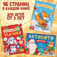 Подарочный набор &laquo;Посылка от Деда Мороза&raquo;, книги, игрушка и пазл МИКС