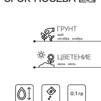 Семена Гипсофила "Кармин", ц/п,  0,1 г