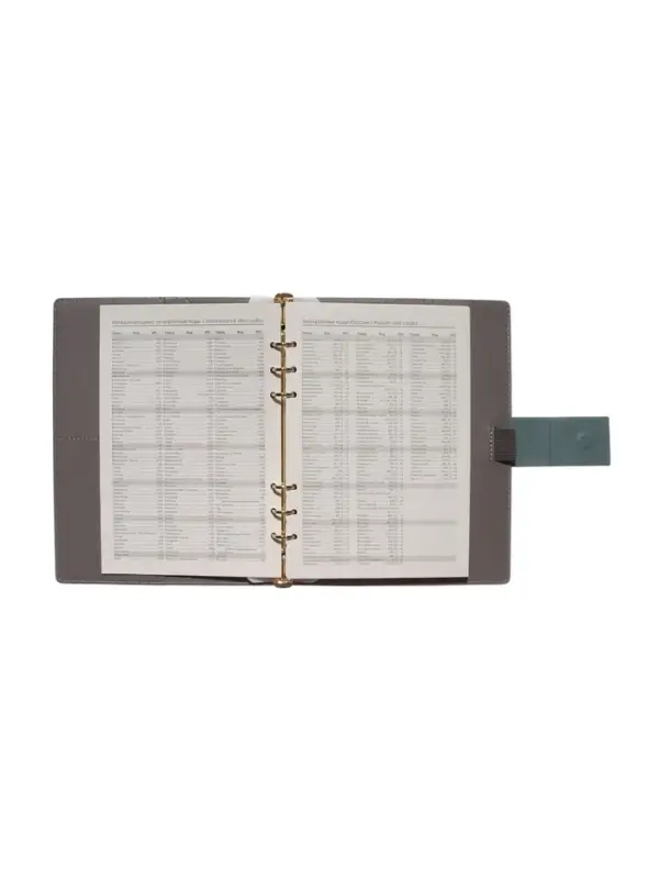 Органайзер на кольцах, А5, с хлястиком, 80л, линия, к/зам, Зеленый