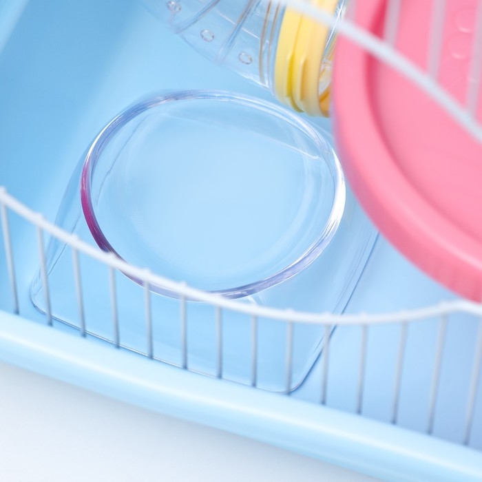 Клетка для грызунов Клетка для грызунов "Пижон", укомплектованная с туннелем, 37 х 27 х 30 см, синий