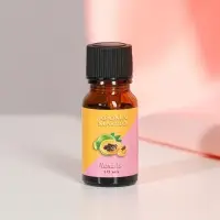 Эфирное масло &laquo;Папайя&raquo;, 10 мл, &laquo;Богатство Аромата&raquo;