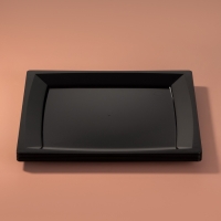 Тарелка пластиковая одноразовая, 17,2&times;17,2 см, квадратная, плоская, МИКС