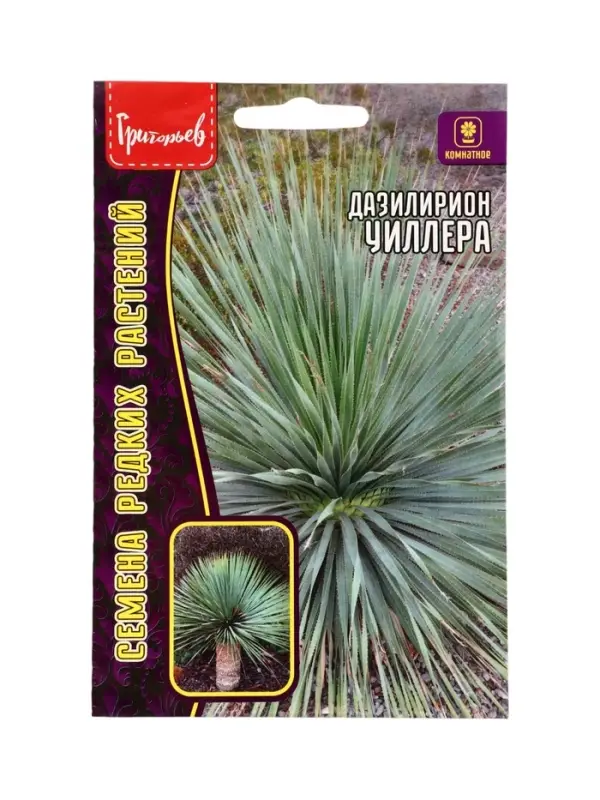 Семена цветов Дазилирион Уиллера 10 шт. / НОВИНКА  12.29 г.