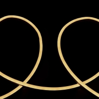 Гибкий неон Luazon Lighting 6 &times; 12 мм, IP65, 5 м, SMD2835, 120 LED/м, 12 В, свечение тёплое белое