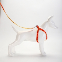 Комплект "Большая лапа", ширина 1,5 см, поводок 120 см, шлейка 28-42 см, оранжево-жёлтый Комплект "Большая лапа", ширина 1,5 см, поводок 120 см, шлейка 28-42 см, оранжево-жёлтый