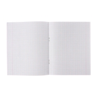 Комплект тетрадей из 5 штук (4 разные + 1 повторяющаяся), 48 листов в клетку Calligrata "Россия", обложка мелованная бумага, блок №2, белизна 75% (серые листы)