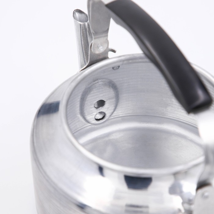 Чайник &laquo;Полированный&raquo;, 3 л