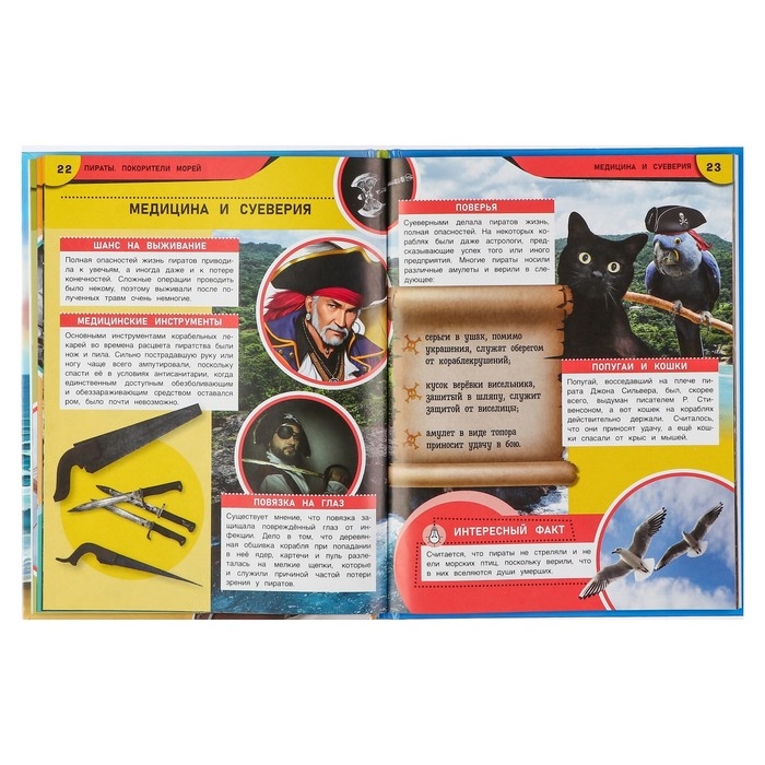 Энциклопедия &laquo;Пираты. Покорители морей&raquo;
