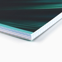 Тетрадь в клетку А4, 80 листов на скрепке &laquo;1 сентября:Natural&raquo;