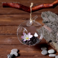 Флорариум &laquo;Натурель&raquo;, яблоко, с веревкой, d=5.5 см, 11&times;9 см, стекло, прозрачный