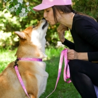 Набор &laquo;Нежность&raquo;, застёжка - фастекс, поводок 2 м и ошейник 28-46 см