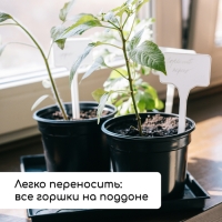 Набор для рассады: стаканы по 520 мл (8 шт.), поддон 40 &times; 30 см, чёрный, Greengo