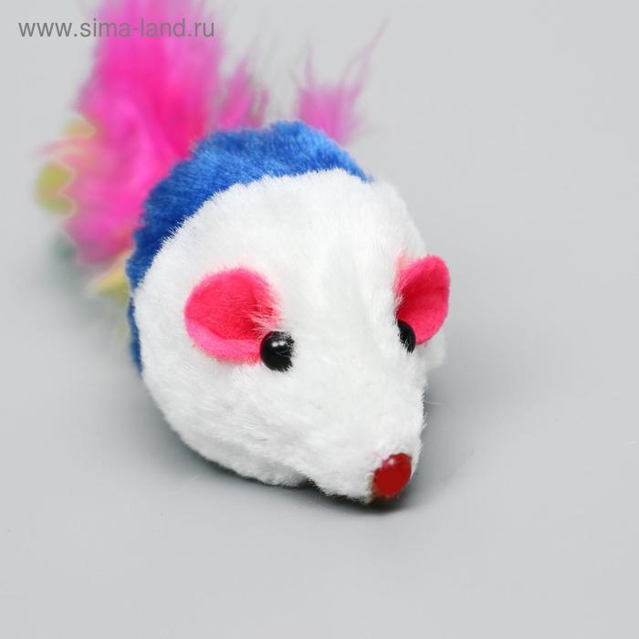 Набор игрушек для кошек: мышь 5 см и игрушка с бубенчиком Набор игрушек для кошек: мышь 5 см и игрушка с бубенчиком "Амфитеатр" 6,8х4 см, микс цветов