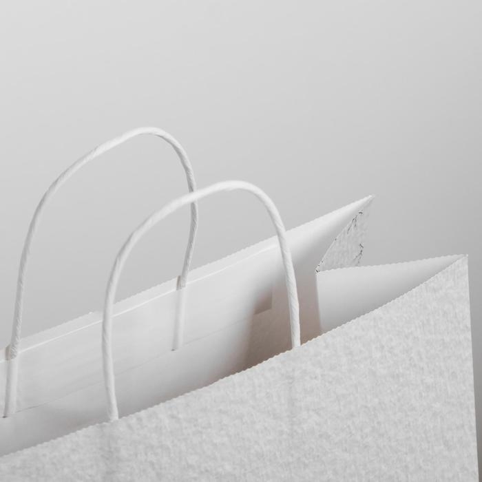 Пакет подарочный новогодний крафт &laquo;Чудесный праздник&raquo;, 25 х 22 х 12 см, Новый год