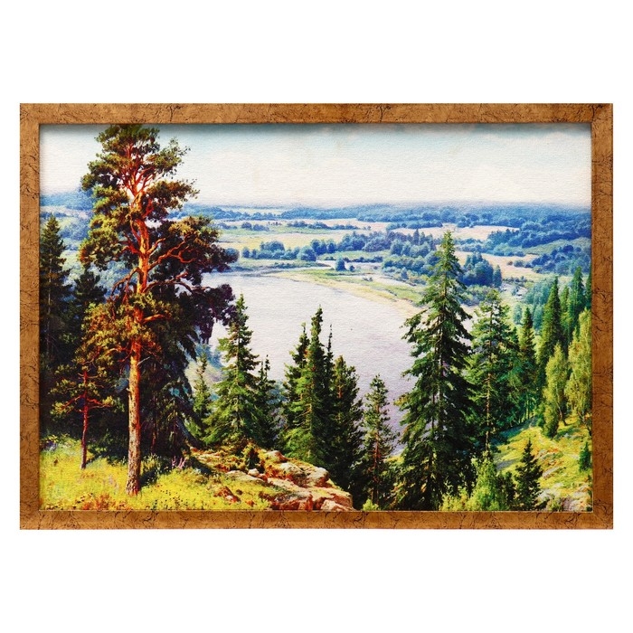 Гобеленовая картина Гобеленовая картина "Река" 53*73 см