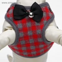 Комплект амуниции с мягкой шлейкой, М, поводок 120 х 1 см, ОШ 28-48 см, ОГ 32-52 см, красный 47310 Комплект амуниции с мягкой шлейкой, М, поводок 120 х 1 см, ОШ 28-48 см, ОГ 32-52 см, красный 47310