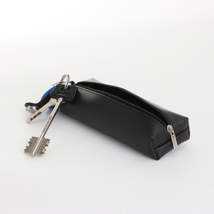 Ключница на молнии, длина 16 см, кольцо, карабин, цвет чёрный Ключница на молнии, длина 16 см, кольцо, карабин, цвет чёрный