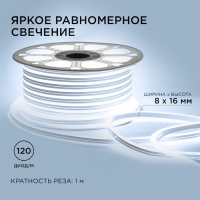 Гибкий неон Apeyron 8 &times; 16 мм, IP65, 50 м, SMD2835, 120 LED/м, 10 Вт/м, 220 В, свечение холодное белое