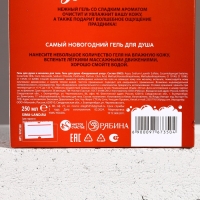 Подарочный набор косметики &laquo;С Новым Годом!&raquo;, гель для душа 250 мл и мочалка для тела, ЧИСТОЕ СЧАСТЬЕ