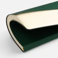 Ежедневник Flex Shall New, недатированный, зеленый