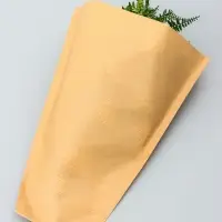 Пакет - конус крафт, 12+35&times;40 см