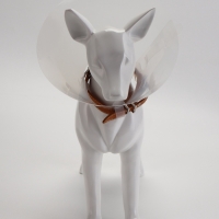 Ветеринарный воротник с креплением на ошейник, высота 10 см (без ошейника)