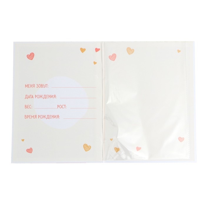 Папка для свидетельства о рождении &laquo;Медвежонок&raquo;, 23,5 х 31,5 см.