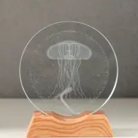 Сувенир стекло свет "Диск. Медуза" 5хLED d=10 см, USB 10х4х11,4 см
