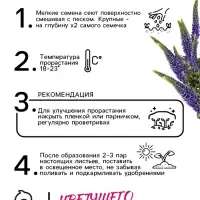 Семена Вероника "Синяя", ц/п,   0,02 г