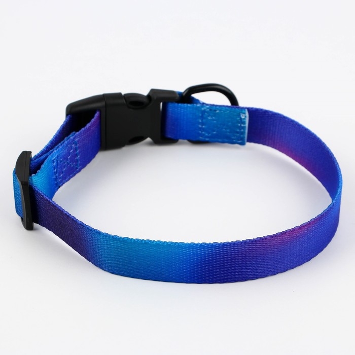 Ошейник «Даже на краю света», застёжка - фастекс, 2 см 25-40 см Ошейник «Даже на краю света», застёжка - фастекс, 2 см 25-40 см