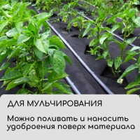 Материал для ландшафтных работ, 10 &times; 3,2 м, плотность 120 г/м&sup2;, спанбонд с УФ-стабилизатором, чёрный, Greengo, Эконом 30%