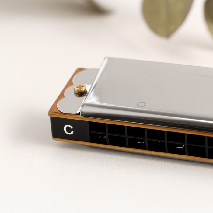 Губная гармошка Music Life T2401 тремоло, с футляром