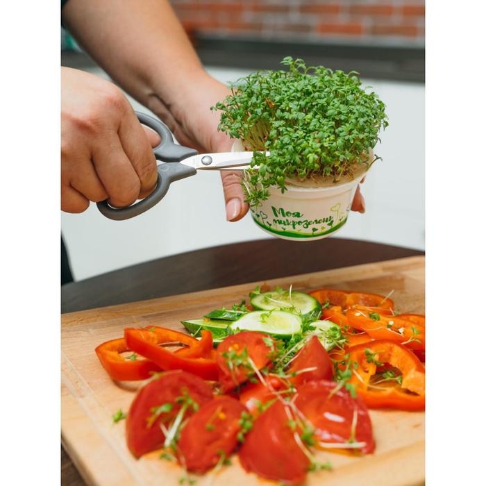 Набор для выращивания «Моя микрозелень», рукола Набор для выращивания «Моя микрозелень», рукола