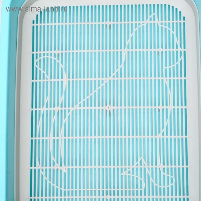 Туалет "Мур-мяу" для кошек, с сеткой, 33,2 х 25,6 х 7,2 см голубой