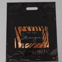 Пакет подарочный Сила  45 х 38 см 55 мкм