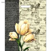 Пакет "Мемуары", полиэтиленовый, с вырубной ручкой, 38 х 47 см, 60 мкм