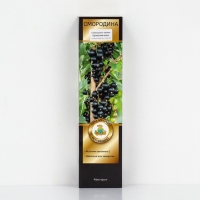 Смородина черная &laquo;Орловский вальс &raquo;, перспективные сорта, саженец, 1 шт., туба