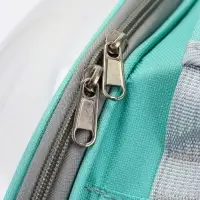 Рюкзак для переноски животных прозрачный, 31 х 28 х 42 см, бирюзовый