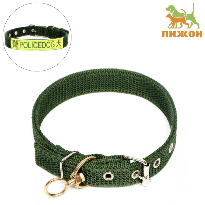 Ошейник двухслойный с вертлюгом, 2,5 см, зелёный Ошейник двухслойный с вертлюгом, 2,5 см, зелёный