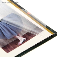 Фотоальбом &laquo;Школьные годы&raquo; 10 магнитных листов