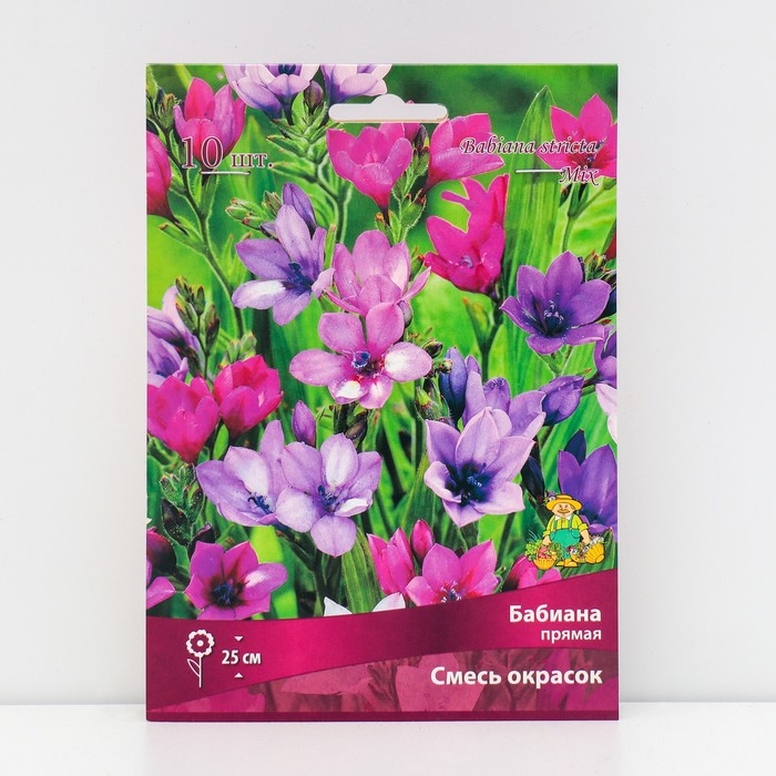 Бабиана прямая Смесь окрасок, луковица, 10 шт., р-р 5+