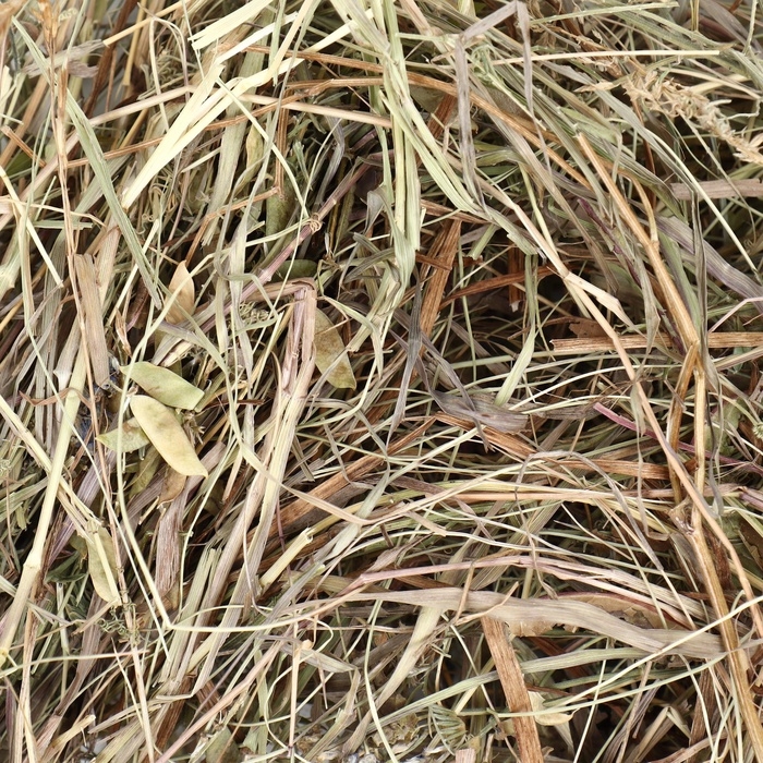 Сено луговое &laquo;Пижон&raquo; лепестки ромашки, для грызунов, 20 л, 500 г